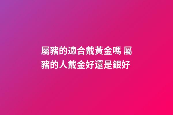 屬豬的適合戴黃金嗎 屬豬的人戴金好還是銀好-第1張-觀點-玄機派